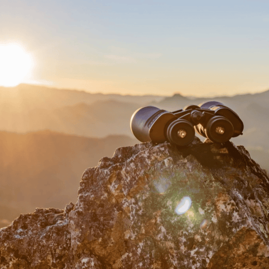 Jumelles 20-60X70 longue portée